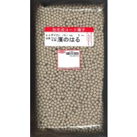 [大根]　濱のはる　ペレット5000粒　(株)サカタのタネ