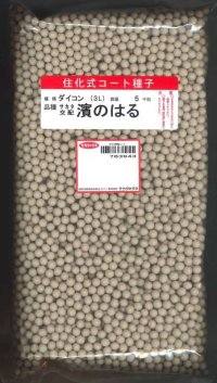 [大根]　濱のはる　ペレット5000粒　(株)サカタのタネ