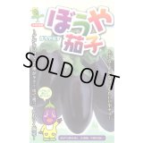 送料無料　[なす]　ぼうや茄子　9粒　小林種苗