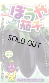 送料無料　[なす]　ぼうや茄子　9粒　小林種苗（株）