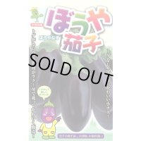 送料無料　[なす]　ぼうや茄子　9粒　小林種苗