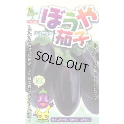 画像1: 送料無料　[なす]　ぼうや茄子　9粒　小林種苗