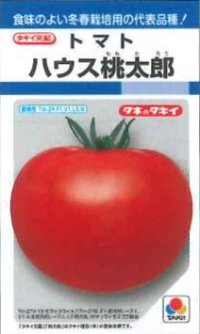 [トマト/桃太郎系]　ハウス桃太郎　45粒　タキイ種苗（株）DF