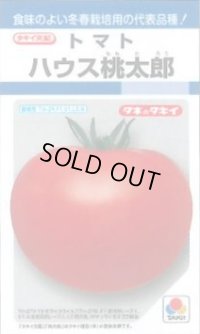 送料無料　[トマト/桃太郎系]　ハウス桃太郎　27粒　タキイ種苗(株)DF