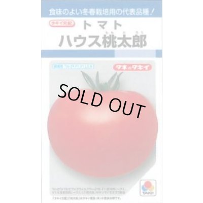 画像1: 送料無料　[トマト/桃太郎系]　ハウス桃太郎　27粒　タキイ種苗(株)DF