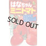 送料無料　[トマト/ミニトマト]　はなちゃん　小袋(13粒)　小林種苗（株）