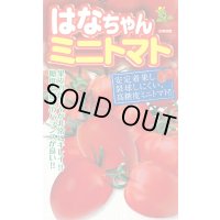 送料無料　[トマト/ミニトマト]　はなちゃん　小袋(13粒)　小林種苗（株）