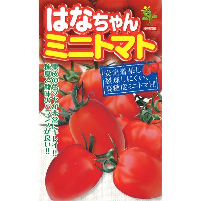 画像1: [トマト/ミニトマト]　はなちゃん　小袋（16粒）小林種苗