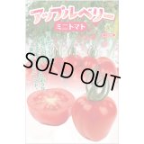 送料無料　[トマト/ミニトマト]　アップルベリー小袋(7粒)　小林種苗（株）