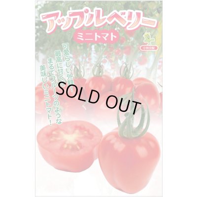 画像1: 送料無料　[トマト/ミニトマト]　アップルベリー小袋(7粒)　小林種苗（株）