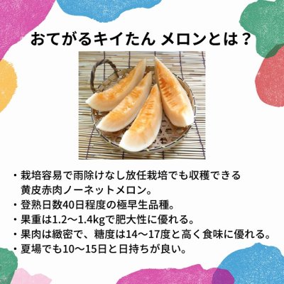 画像4: 送料無料　[メロン]　メロン　おてがるキイたん　7粒　小林種苗（株）