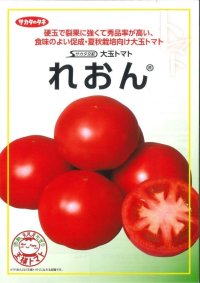 [トマト/大玉トマト]　送料無料！れおん　1000粒　サカタのタネ（株）