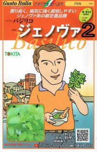 [イタリア野菜]　ジェノバ２　80粒　　 トキタ種苗（株）