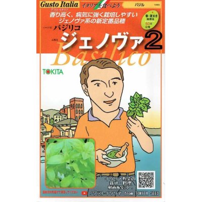 画像1: [イタリア野菜]　ジェノバ２　80粒　　 トキタ種苗（株）
