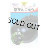 送料無料　[なす]　京まんじゅう　40粒　丸種(株)