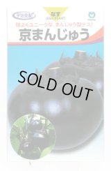 送料無料　[なす]　京まんじゅう　40粒　丸種(株)