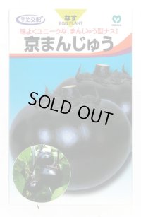 送料無料　[なす]　京まんじゅう　40粒　丸種(株)