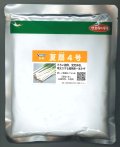 送料無料　[ねぎ]　夏扇4号　ペレット種子　6000粒　(株)サカタのタネ