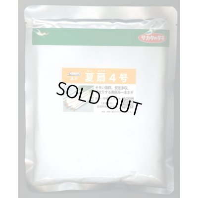 画像1: [ねぎ] 夏扇4号 ペレット種子 6000粒 (株)サカタのタネ