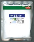 送料無料　[ねぎ]　夏扇パワー　ペレット種子　6000粒　(株)サカタのタネ