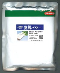 [ねぎ]　夏扇パワー　ペレット種子　6000粒　（株）サカタのタネ