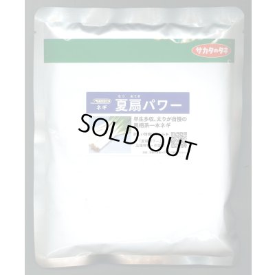 画像1: 送料無料　[ねぎ]　夏扇パワー　ペレット種子　6000粒　(株)サカタのタネ