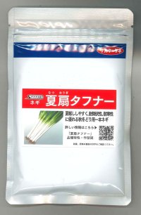 送料無料　[ねぎ]　夏扇タフナー　1dl(裸種子)　(株)サカタのタネ