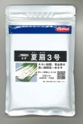送料無料　[ねぎ]　夏扇3号　1dl　(裸種子)(株)サカタのタネ