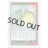 送料無料　[白菜]　桜月　20ml　(株)サカタのタネ