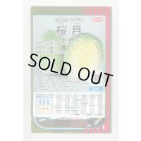 送料無料　[白菜]　桜月　20ml　(株)サカタのタネ