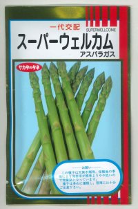 送料無料 [アスパラガス] スーパーウェルカム 20ml (株)サカタのタネ
