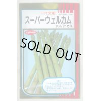 [アスパラガス]　スーパーウェルカム　20ml　サカタのタネ（株）