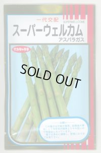 [アスパラガス]　スーパーウェルカム　20ml　サカタのタネ（株）