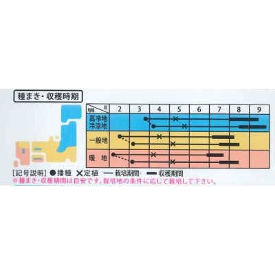 画像2: [トマト/調理用トマト]　なつのこま　0.5ml　(株）大和農園