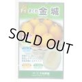 送料無料　[瓜類]　まくわ　金城　1ml　大和農園