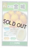 送料無料　[瓜類]　まくわ　金城　1ml　大和農園