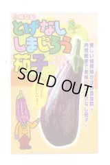 送料無料　[なす]　とげなししまじろう　7粒　小林種苗（株）