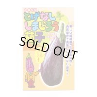 送料無料　[なす]　とげなししまじろう　7粒　小林種苗