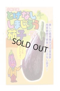 送料無料　[なす]　とげなししまじろう　7粒　小林種苗