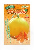 送料無料　[メロン]　メロン　おてがるキイたん　8粒　小林種苗