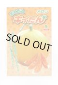 送料無料　[メロン]　メロン　おてがるキイたん　8粒　小林種苗