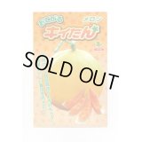 送料無料　[メロン]　メロン　おてがるキイたん　8粒　小林種苗