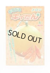 送料無料　[メロン]　メロン　おてがるキイたん　8粒　小林種苗（株）