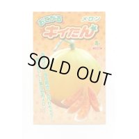 送料無料　[メロン]　メロン　おてがるキイたん　8粒　小林種苗