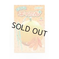 [メロン]　　メロン　おてがるキイたん　8粒　小林種苗