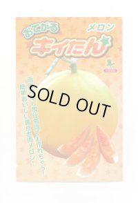 送料無料　[メロン]　メロン　おてがるキイたん　8粒　小林種苗