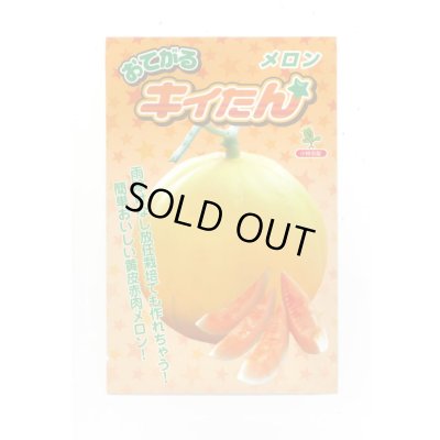 画像1: 送料無料　[メロン]　メロン　おてがるキイたん　8粒　小林種苗