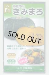送料無料　[かぼちゃ]　きみまろ　10粒　（株）大和農園
