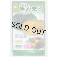 送料無料　[かぼちゃ]　きみまろ　10粒　(株)大和農園