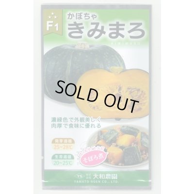 画像1: 送料無料　[かぼちゃ]　きみまろ　10粒　(株)大和農園